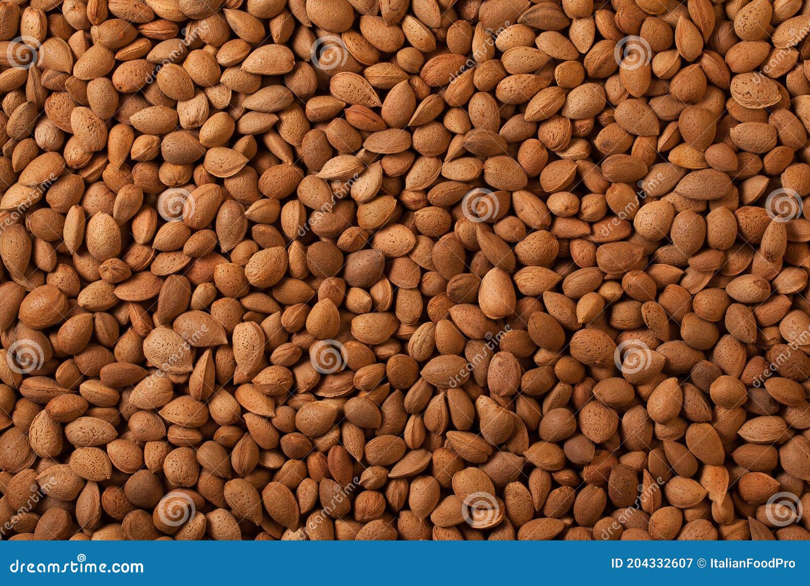 almonds nut background with shell Ã¢â¬â sicilian `pizzuta d`avola` variety